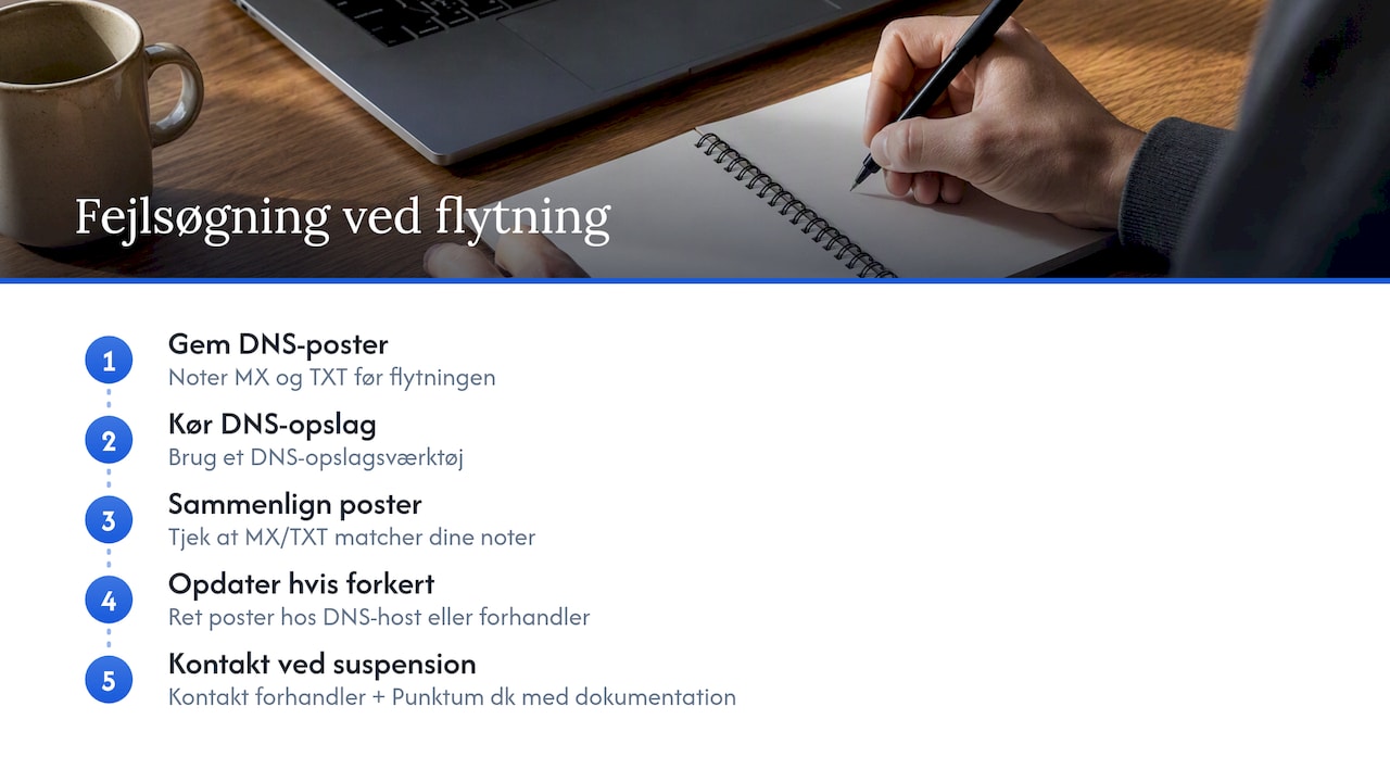 DNS-opslag til kontrol af domænets poster